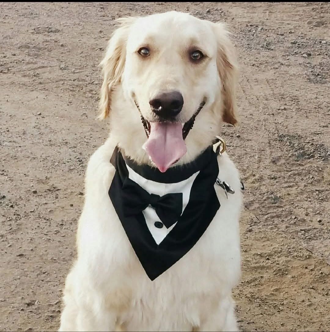 Remy — Mayor
